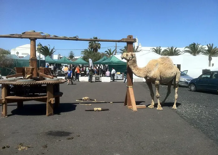 La Country house Uga