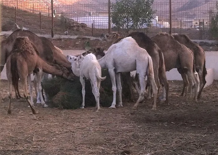 Country house La Uga