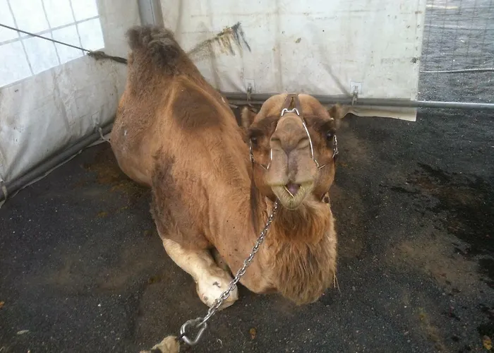 Country house La Uga